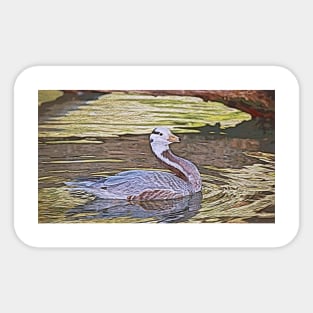 Swan Sticker